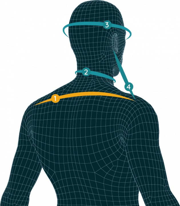 Shoulder Width